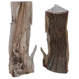 Stump cutted
