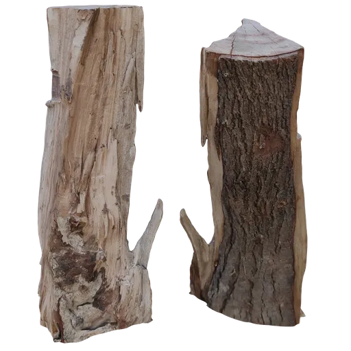 Stump cutted
