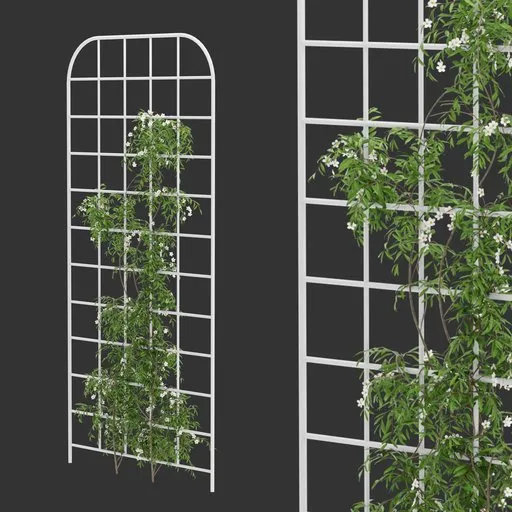 Grid Ivy Flowering Plant