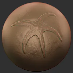 ER Fossil Brush-Starfish