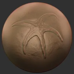 ER Fossil Brush-Starfish