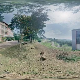 Campus Hillside Morning Light