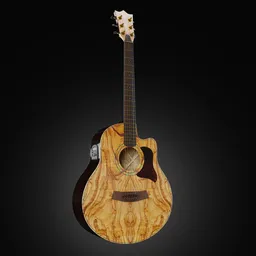 Acoustic Guitar Internal Detail