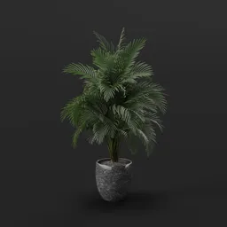 Potted Plant
