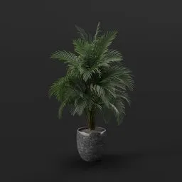 Potted Plant