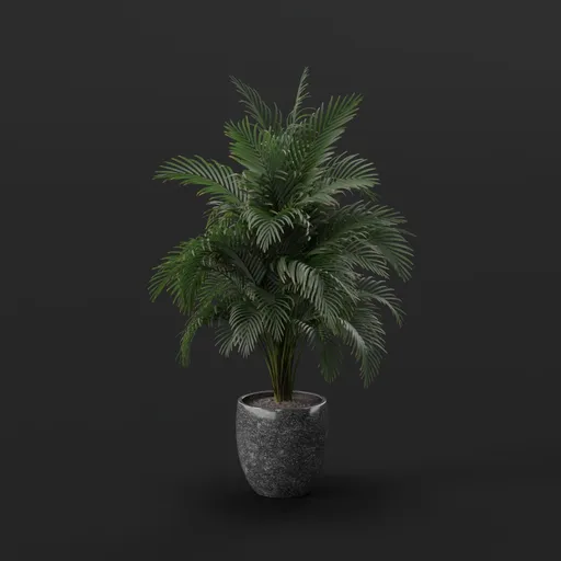 Potted Plant
