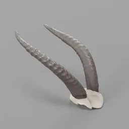 Stylized Animal Horns