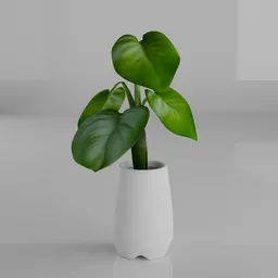 Basic 3D Monstera plant model in a white pot for Blender rendering, suitable for virtual office environments.
