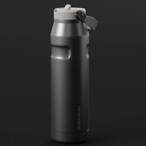 Stanley Water Bottle