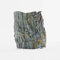 Highly detailed Blender 3D model of a tree bark section, optimized for photorealistic texture rendering and animation.