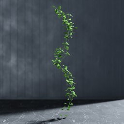 "Artificial garland Ginko green 3D model for Blender 3D - nature indoor category. Editable stem and lifelike ivy vines rendered with Cinema 4D and created with Geometry nodes using the Bagapie addon."