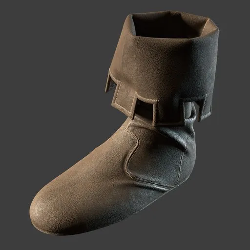 Shoe