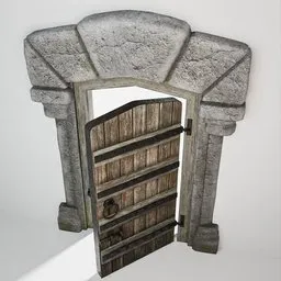 Medieval Castle Door