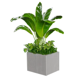 Indoor Plant box