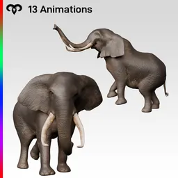 Female Elephant Animated