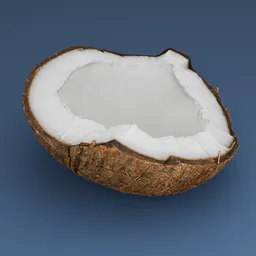 Coconut 2 cut in half Tropical Food
