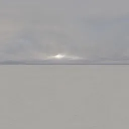 Snowscape Overcast Skydome