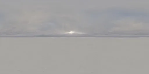 Snowscape Overcast Skydome