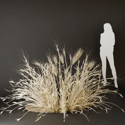 SJ-Cozy Bush Charm dried