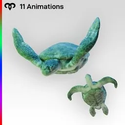 Male Turtle Animated