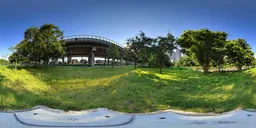 Sunset on the meadow