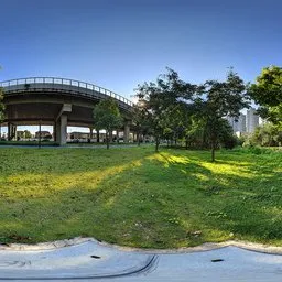 Sunset on the meadow