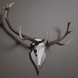 Deer antler trophy