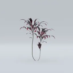 Highly detailed Blackleaf plant 3D model, suitable for Blender rendering and nature scenes.
