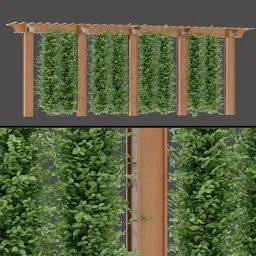 Outdoor Climbing Plant Frames