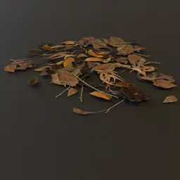 Debris Dry Leaves Pile Lrg