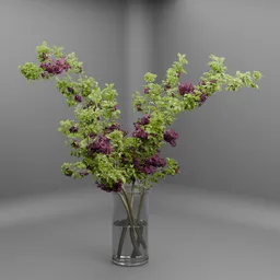 Purple Lilac Branch
