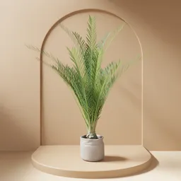 Palm Plant in Fabric Pot