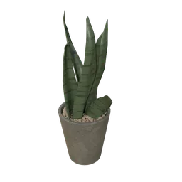 Vase Succulent-02