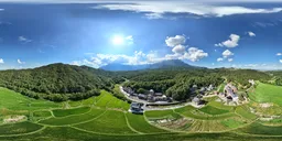 Forest green bluesky