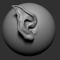 Sculpting brush effect for 3D modeled fantasy creature's pointed ear on a smooth surface.