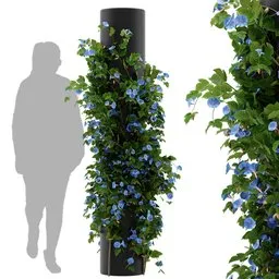 flower ivy column plant