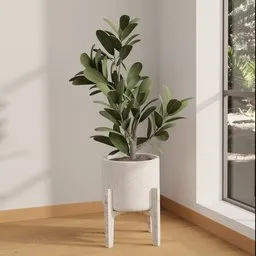 Minimal Frangipani Indoor Planter