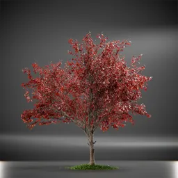 Tree Ruby Slippers Animated