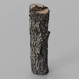 Oak Log remeshed photoscan