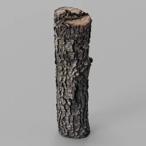 Oak Log remeshed photoscan