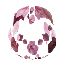 Sakura flower