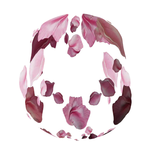 Sakura flower