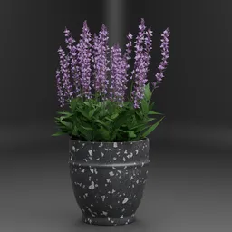 Lavender Plant Decor