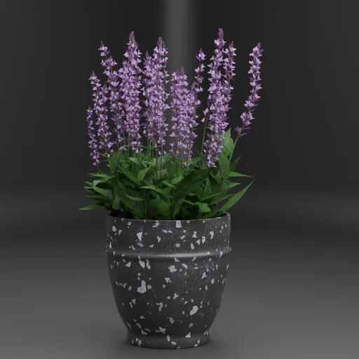 Lavender Plant Decor