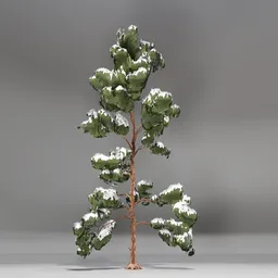 Snow Pine Toon Tree