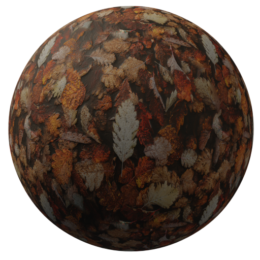 Autumn leave ground