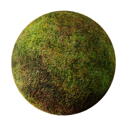 Grass (Cycles)