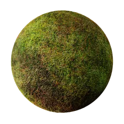 Grass (Cycles)