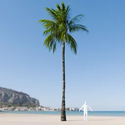 Coconut Tree Rigged and Animated