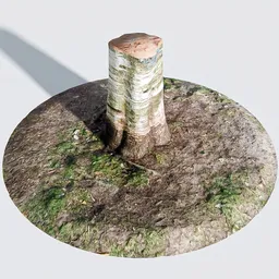 Realistic Blender 3D tree stump model showcasing fine details and textures, suitable for natural scene rendering.